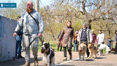 В Одессе учат домашних собак искать взрывчатку | Новости Одессы