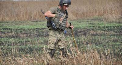 В поселке в Днепропетровской области за три дня обезвредили почти полтысячи снарядов