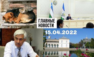 Докажи, что не верблюд, уничтоженные памятники и бизнес на Украине. Новости Узбекистана: главное на 15 апреля
