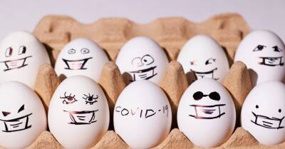 Жители Латвии едят меньше яиц, чем в среднем в Европе и США
