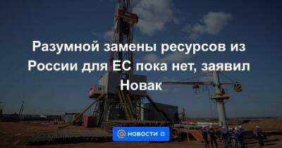 Разумной замены ресурсов из России для ЕС пока нет, заявил Новак