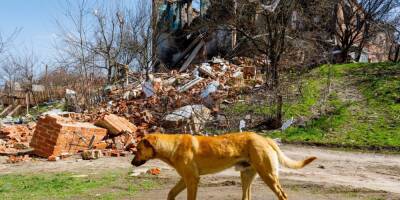 Поселок Рогань под Харьковом освобожден от россиян: опубликованы фото разрушений