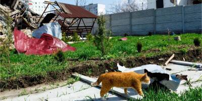 Россияне разрушили сотни домов в Чугуеве: фото из города в Харьковской области