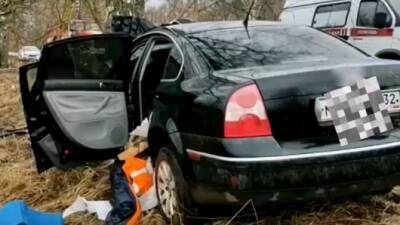 Женщина погибла в ДТП в Почепском районе Брянской области - usedcars.ru - Брянск - Брянская обл.