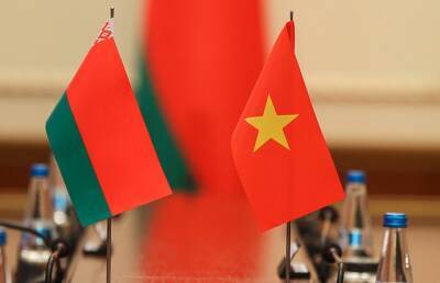 Здравоохранение, сельское хозяйство: Беларусь и Вьетнам обсудили сотрудничество