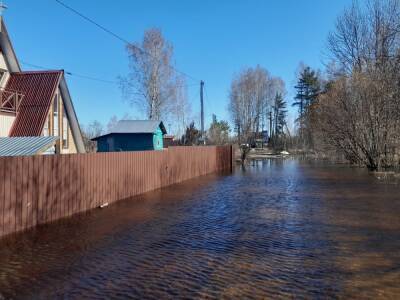 В Тверской области зафиксированы случаи мародерства с затопленных участков