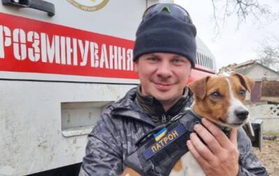 Комаров призвал жителей Луганщины эвакуироваться
