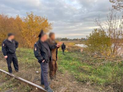 Житель Тверской области приговорен к 9 годам за убийство бабушки