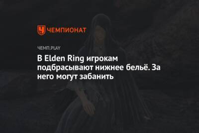 В Elden Ring игрокам подбрасывают нижнее бельё. За него могут забанить