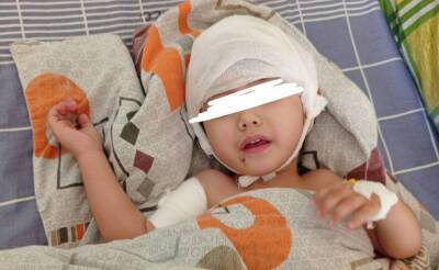 Львенок, которого обнаружили в частном доме в Ташкентской области, напал на ребенка. Он госпитализирован в тяжелом состоянии