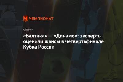 «Балтика» — «Динамо»: эксперты оценили шансы в четвертьфинале Кубка России