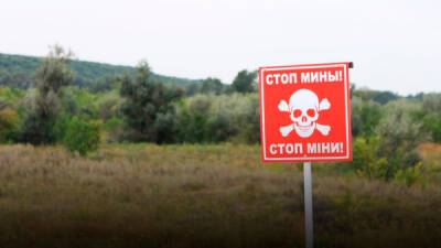 ООН: Около трети сельхозплощадей в Украине непригоды для сева