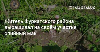 Житель Фуркатского района выращивал на своём участке опийный мак
