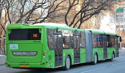 Расписание движения дачных автобусов в Тюмени опубликовали городские власти