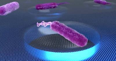 Ученые выяснили, что бактерии могут издавать звуки и даже записали их (видео)