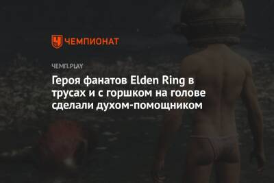Героя фанатов Elden Ring в трусах и с горшком на голове сделали духом-помощником