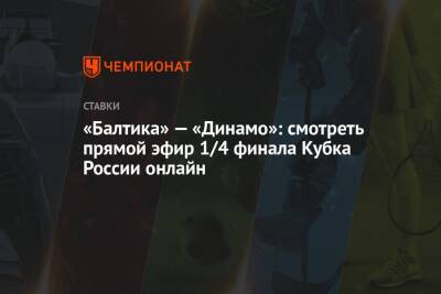 «Балтика» — «Динамо»: смотреть прямой эфир 1/4 финала Кубка России онлайн