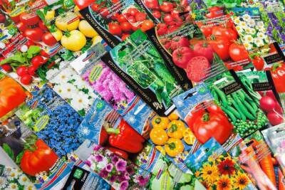 В Тверской области обследовали торговые точки, реализующие семена