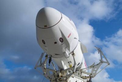 Томас Маршберн - Маттиас Маурер - Ракета SpaceX Falcon 9 и капсула Crew-4 добрались до стартовой площадки. Запус запланирован на 23 апреля - itc.ua - Украина - шт.Флорида