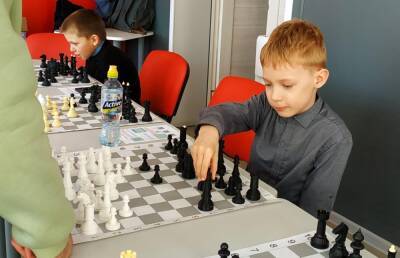 В Тверской области продолжаются турниры по Медвежьим шахматам