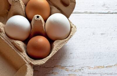 Названы способы проверить яйца на свежесть - ont.by - Белоруссия