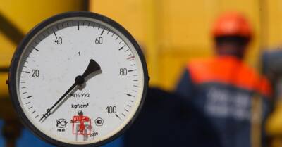 Конкретную дату отказа от российского газа в законопроекте установить пока не удалось