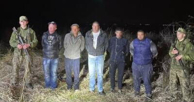 Пограничники на Закарпатье за месяц задержали почти сотню уклонистов (видео)