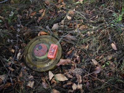 В Черниговской области саперы продолжают разминирование территории, за сутки обнаружен 531 взрывоопасный предмет – ОВА