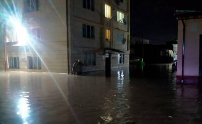 Самое крупное наводнение за 80 лет. В МЧС рассказали о последствиях разгула стихии в Самаркандской и Джизакской областях