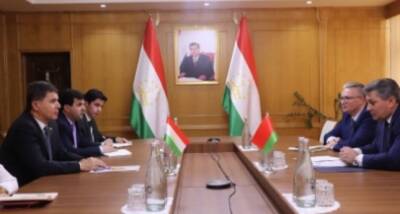 Таджикистан и Беларусь планируют создать совместное предприятие по производству ковров в СЭЗ «Сугд»