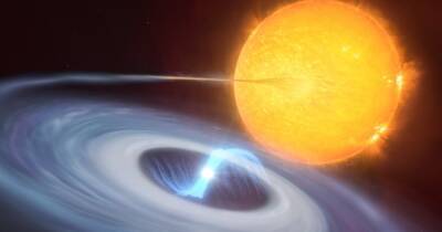 Сверхновая на минималках. Астрономы увидели новый тип взрыва звезд, неизвестный науке - focus.ua - Украина - Чили