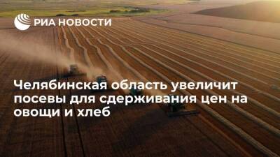 Алексей Текслер - Челябинская область в 2022 году увеличит посевы для сдерживания цен на овощи и хлеб - smartmoney.one - Россия - Челябинская обл.