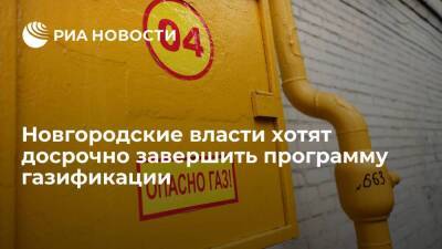 Власти Новгородской области хотят досрочно завершить программу газификации