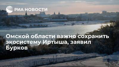Глава Омской области Бурков заявил, что для региона важно сохранить экосистему Иртыша
