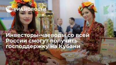 Инвесторы-чаеводы со всей России смогут получить господдержку на Кубани