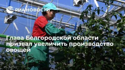 Глава Белгородской области Гладков призвал увеличить производство овощей