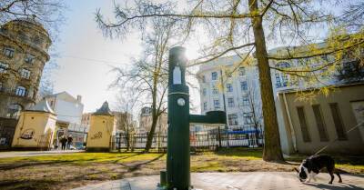 Мартиньш Стакис - В парках Риги установлены шесть кранов с питьевой водой — и для людей, и для собак - rus.delfi.lv - Рига - Латвия