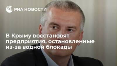 Глава Крыма Аксенов пообещал восстановить предприятия, остановленные из-за водной блокады