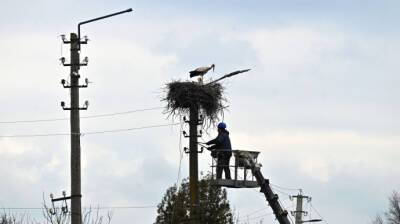 Киевская область: более сотни городов и сел до сих пор остаются без электроэнергии