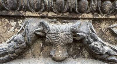 В Турции на стене старинного замка обнаружена голова быка возрастом 2500 лет (Фото)