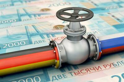 Нацбанк Германии подсчитал ущерб от эмбарго на российский газ: меньше, чем первый год пандемии