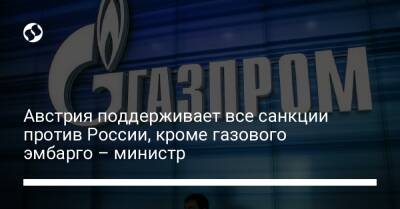 Австрия поддерживает все санкции против России, кроме газового эмбарго – министр