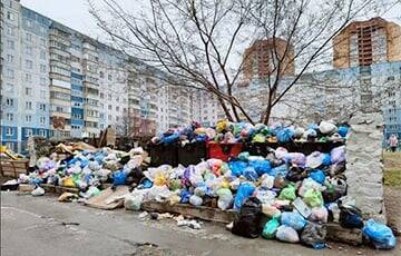 В российском Новосибирске — мусорный коллапс