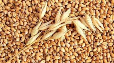 Война на Украине уже повлияла на 25% мировой торговли зерном