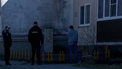Полиция заставила жительницу Пскова перекрасить жёлто-синий забор