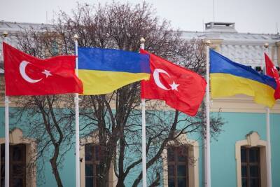 Турция рассмотрит выделение для Украины дополнительных объемов топлива