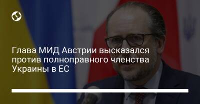 Глава МИД Австрии высказался против полноправного членства Украины в ЕС