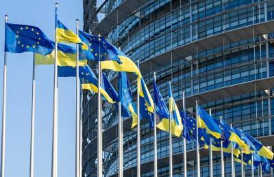 Александр Шалленберг - Австрия выступила против вступления Украины в ЕС - ont.by - Австрия - Украина - Киев - Белоруссия - Брюссель