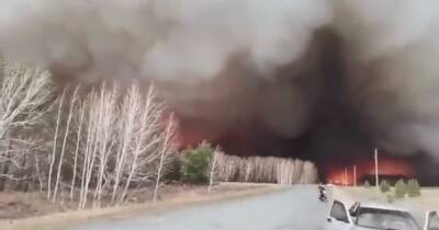 В российской Сибири масштабные лесные пожары вышли из-под контроля, — Independent (видео)