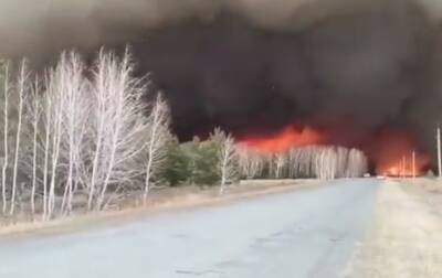 В России некому тушить лесные пожары - korrespondent.net - Россия - Украина - Сибирь